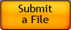submit a file button